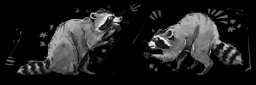 Final raccoon mural design